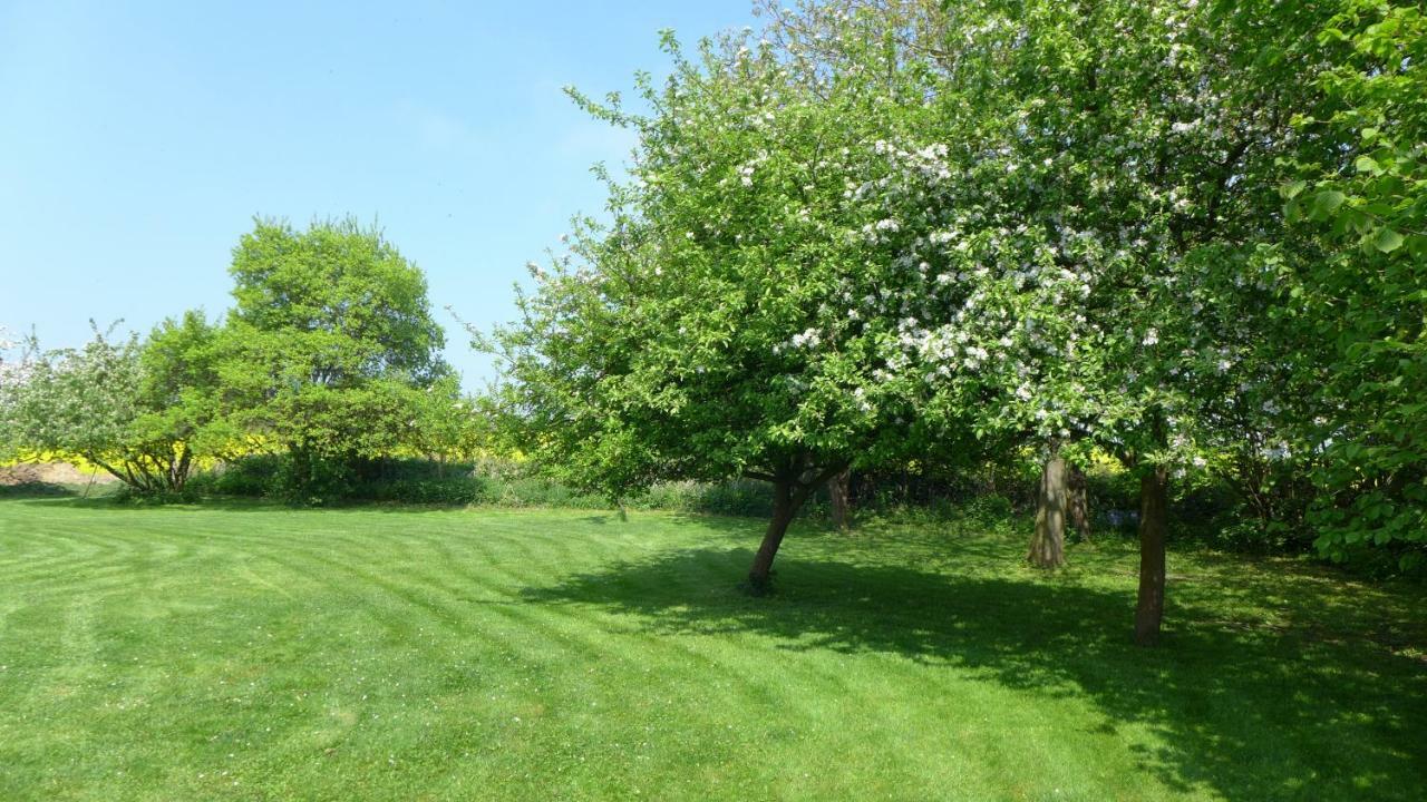 Villa Baerenklau Neustadt in Holstein Esterno foto